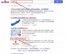 東營一*新材料有限公司網站優化案例欣賞
